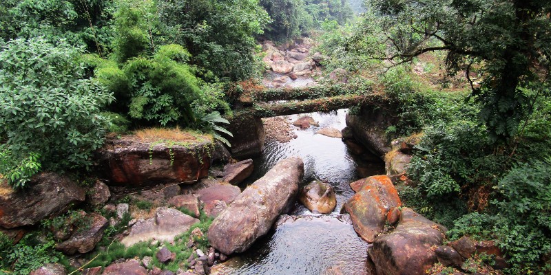 Log bridge over Chisang Khola
