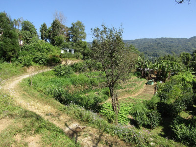 Agroecosystem at Pakang Aditya Pradhan 30 Oct, 2020