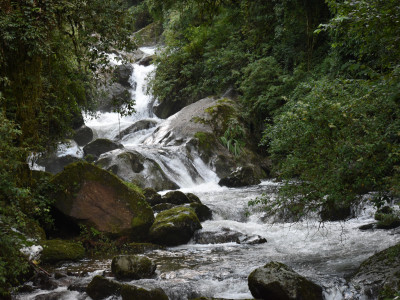 A stream bordering Timburey Aditya Pradhan 02 Nov, 2020