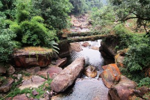 Log bridge over Chisang Khola Aditya Pradhan 16 Jul, 2019