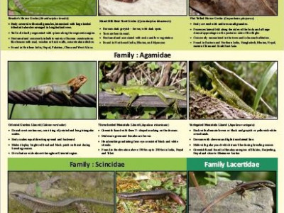 Lizards found in the socio-ecological production landscapes of Sikkim-Darjeeling Himalaya Vikram Pradhan 01 Oct, 2020