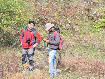 Butterfly Sampling Sailendra Dewan 01 Oct, 2020