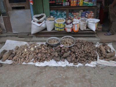 Roots and Tubers Sailendra Dewan 01 Oct, 2020