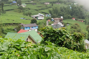 Lamagaon village Vikram Pradhan 14 Sep, 2018