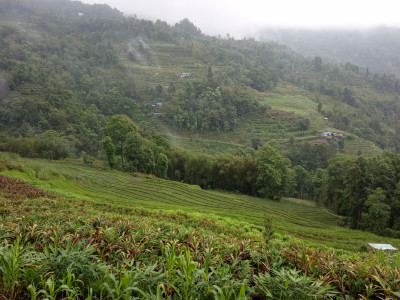 Socio-ecological production landscape in Kalimpong, (Dabling-Pakkang) Thangsuanlian Naulak 01 Oct, 2020