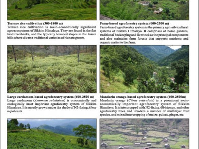 Representative Socio-ecological production landscapes of Sikkim-Darjeeling Himalaya Vikram Pradhan 01 Oct, 2020