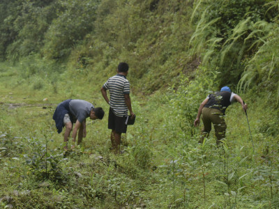 Herpetofauna Fieldwork Sailendra Dewan 01 Oct, 2020