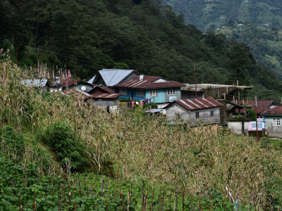 Timburey Village Aditya Pradhan 30 Oct, 2020