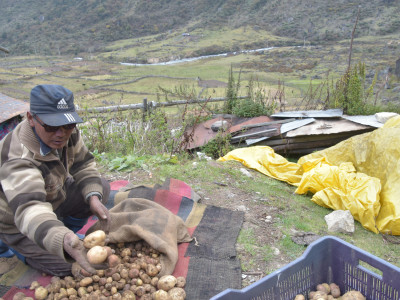 A farmer selling potato cultivated in Agro-Pastoral system Sailendra Dewan 01 Oct, 2020