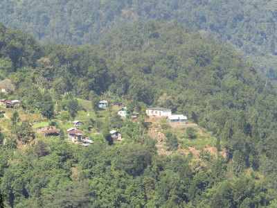 Agroecosystem in Suruk Aditya Pradhan 30 Oct, 2020